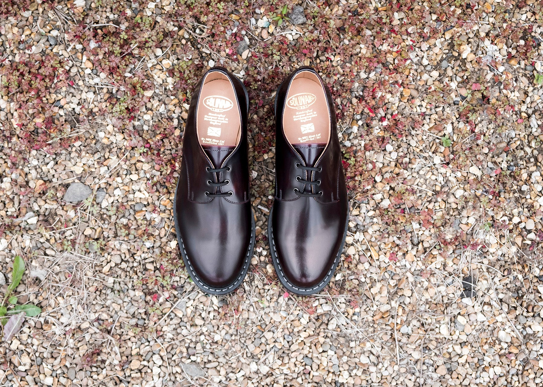 1754-burgundy-rub-off-gibson-shoe-7.jpg Burgundy Rub-Off Gibson Shoe